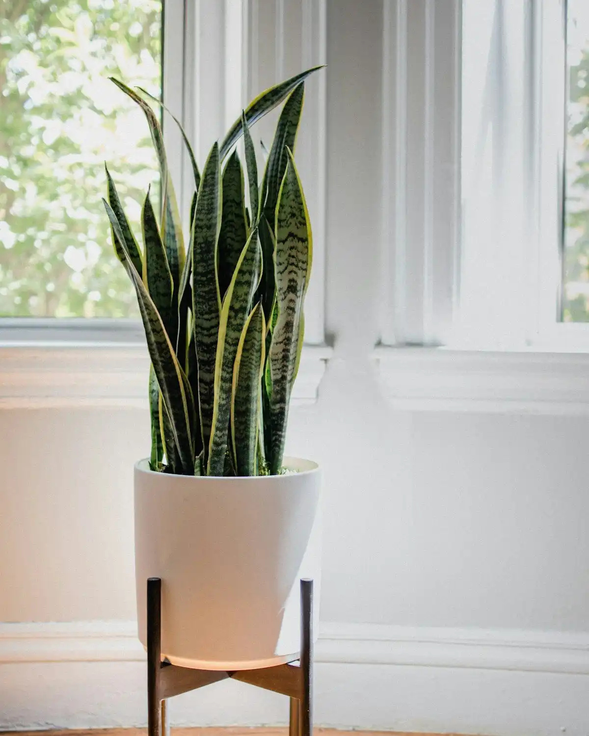 Bamboo Planter Stand